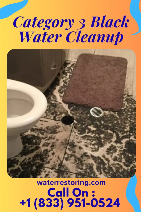 Category 3 Black Water Cleanup in Antares, AZ