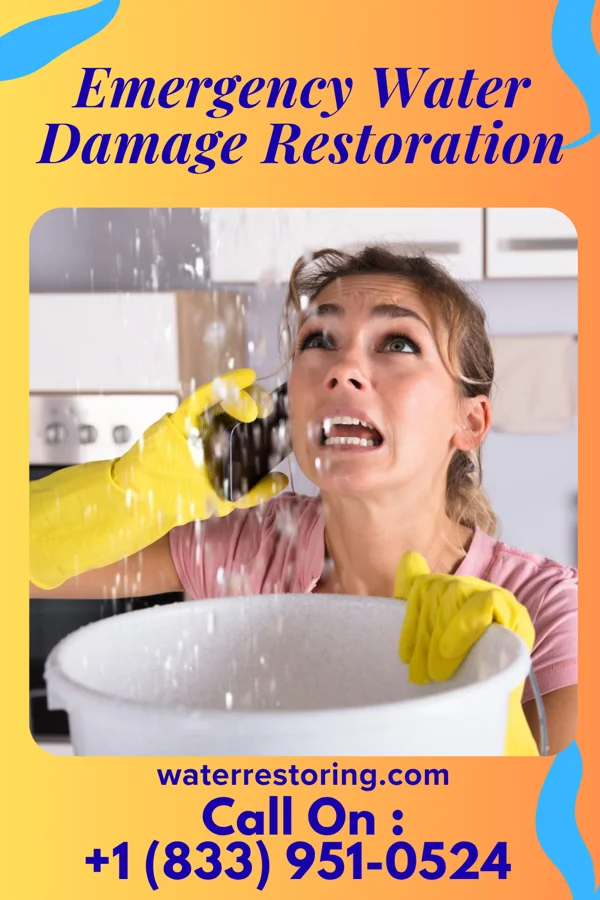 Emergency Water Damage Restoration in Antares, AZ
